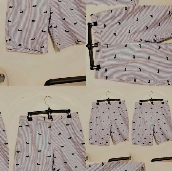 Izod Men's Swan shorts - Picture 3 of 5